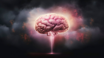 Cognitive, Mood & Neurological Support