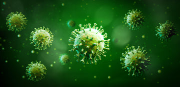 Immune & Gut Support